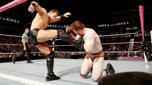 WWE DVD ORIGINAL EUROPÄISCHE REGION.DIE PPV VON 2014 WÄHLEN SIE IHREN FAVORITEN WRESTLING - Bild 52 von 67