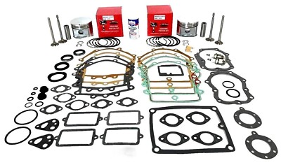 STAND ENGINE REBUILD KIT FITS OPPOSED TWIN CYLINDER BRIGGS &amp; STRATTON ...