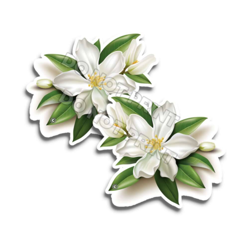 White Jasmine - Flower Stickers Cute Silky Flowery Decals M36754