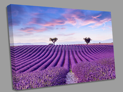 Unter blauem Himmel Lavendelfeld Leinwand Wandbild Bild Druck