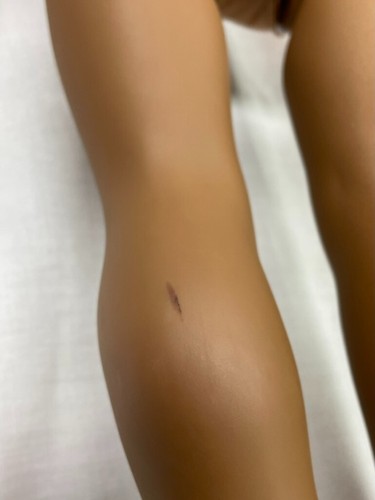 Vintage Kaya 2008 American Girl 18" Puppe 2008 Körper 2002 Kopf Pleasant Company - Bild 8 von 14