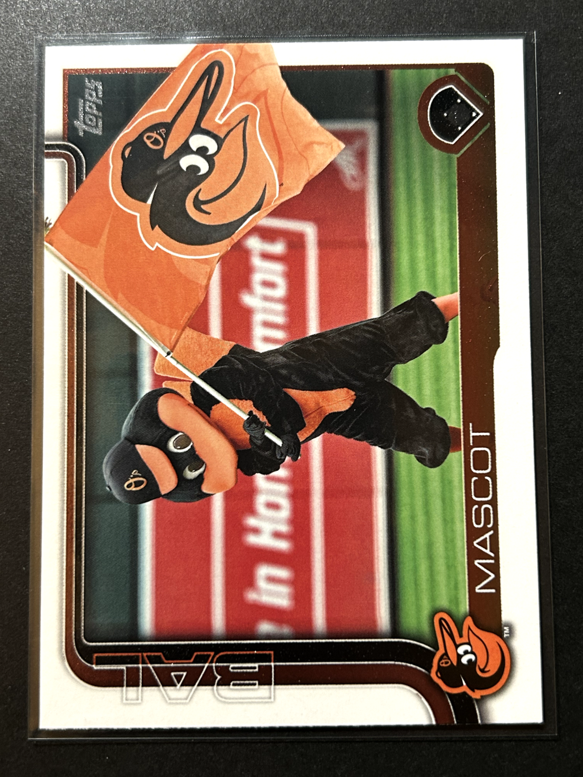 Picture 4 of 27