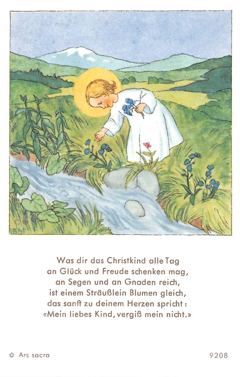 Bild 1 von 1