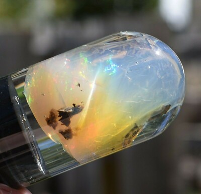 Virgin Valley Fire Opal Nevada Wet Opal Replaced Wood Display Dome