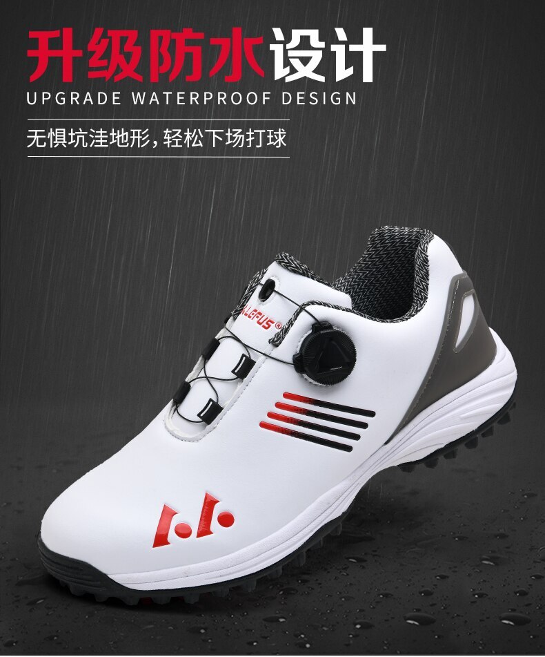 Foto 14 di 25