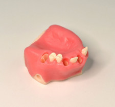 Dental teeth Implant Model upper Jaw Implant Placement Open Suture Drilling Trai