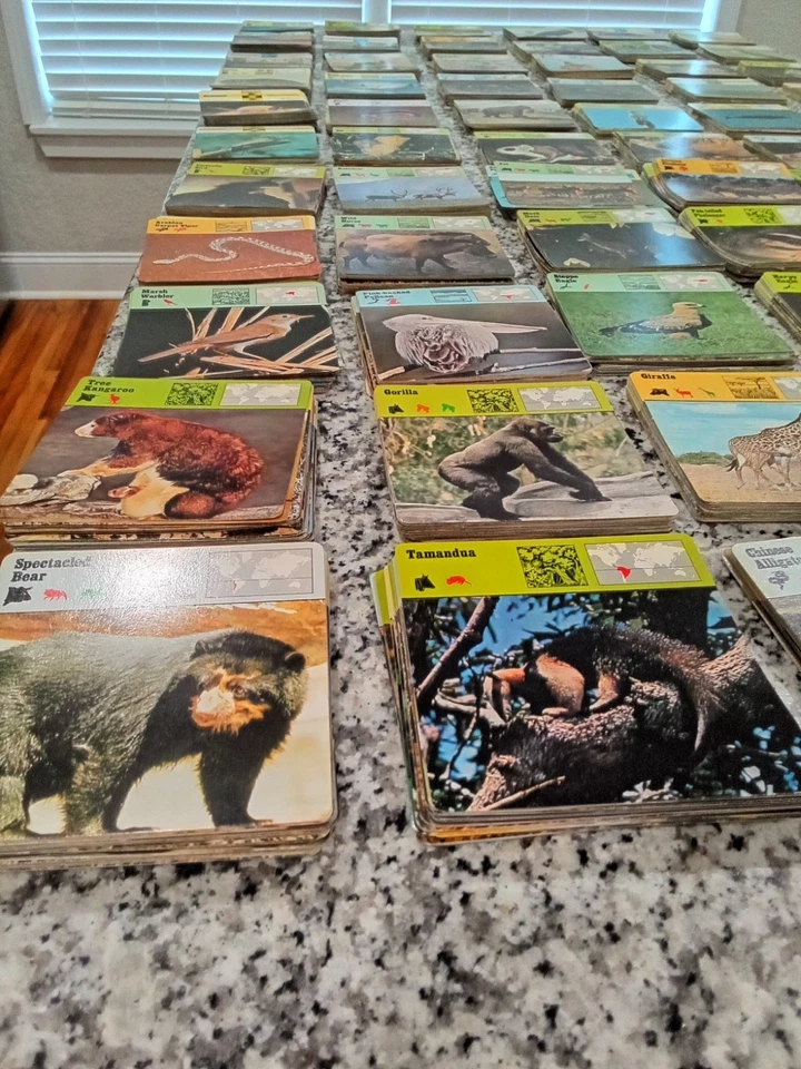Rencontre Safari Cards Of Knowlege 1970s Huge Lot 3,400 w/ Trays Rencontre Rare. - Image 3 of 4