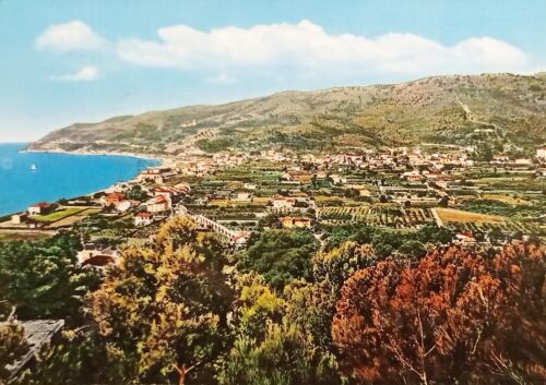Cartolina - Andora - Riviera dei Fiori - Panorama e la Pineta - 1963 - 第 1/2 張圖片