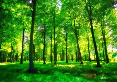 9x6ft Polyester Photo Background Studio Backdrop Green Forest Scenery Seamless Ebay