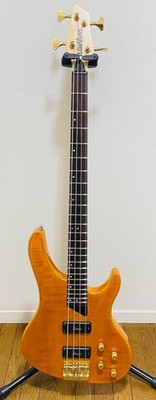 Washburn KW-1250 Kip Winger Electric Bass Guitar w/Gigbag USED