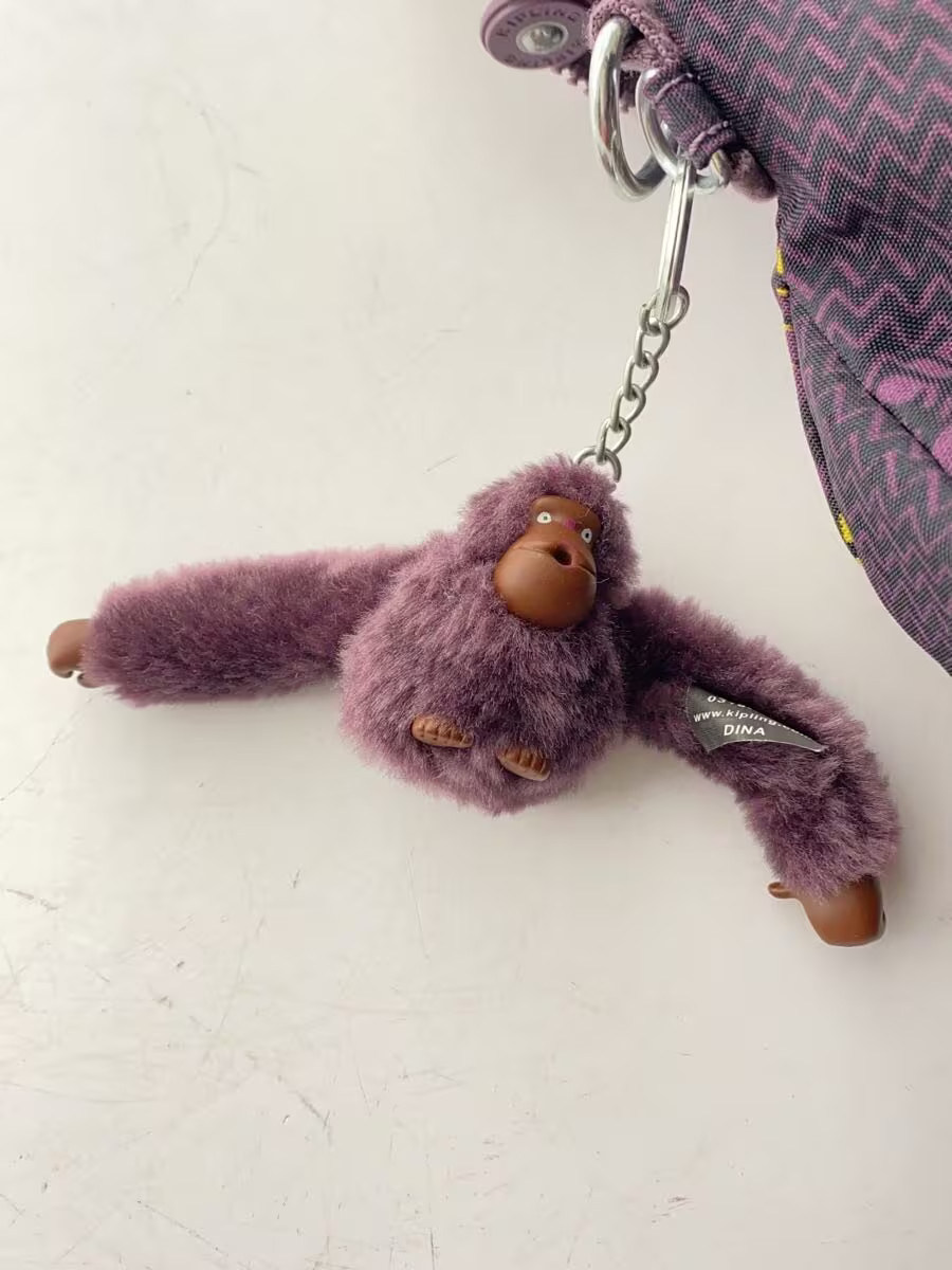 Kipling Backpack -- PUP Check - image 7