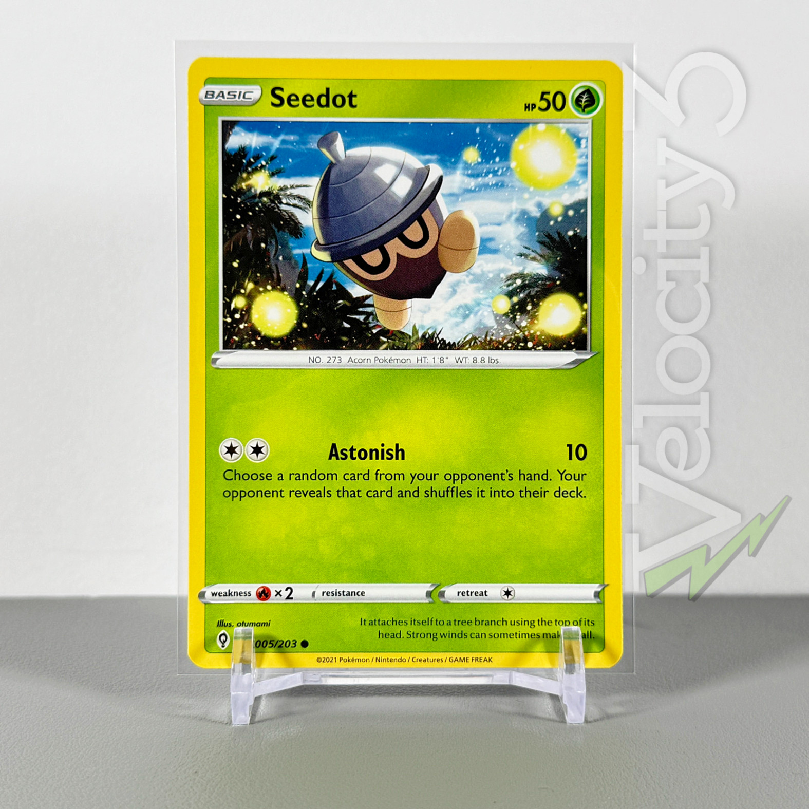 Pokemon TCG Card - Seedot 5/203 Common | 2021 Evolving Skies | NM/Mint
