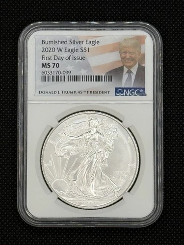 2020 W Burnished Silver Eagle First Day Issue NGC MS70 #141