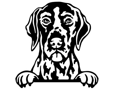 Deutsch Kurzhaar Zeiger Hund Auto Van Vinyl Aufkleber 