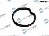 DRM0278 Dr.Motor Automotive Dichtung, ThermostatgehäUse FüR Ford