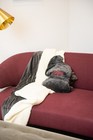 Bild 16 von 27