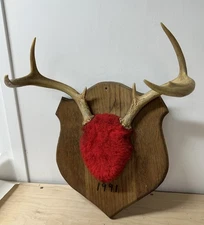 Mounted Deer Antlers 7 Point on wall board man cave decor VTG