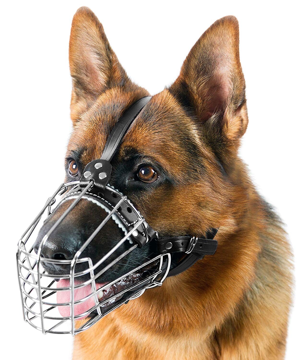 metal basket muzzle