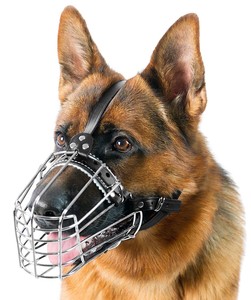 basket muzzle for dogs