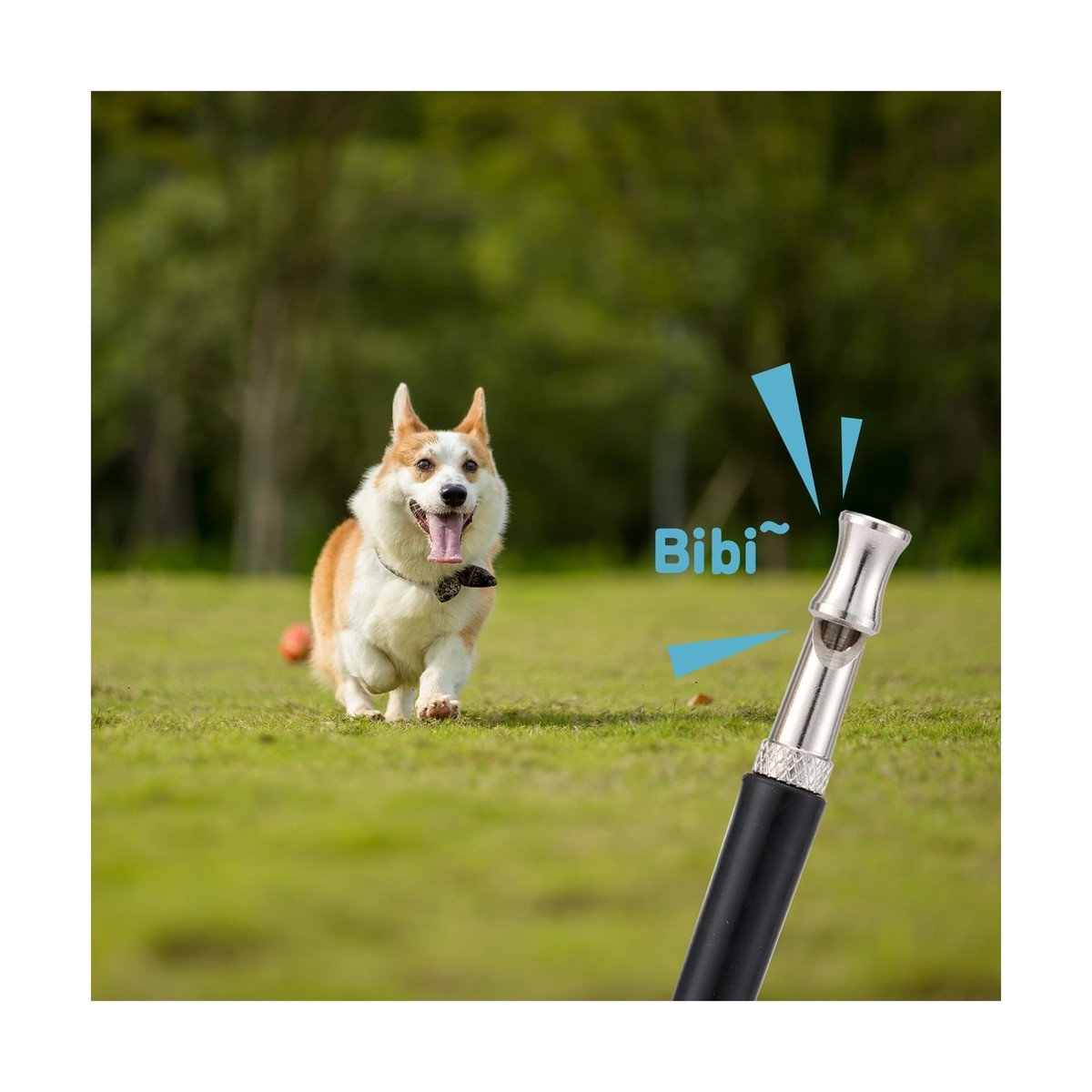 What Does the Dog Whistle Do: Unveiling Its Secret Uses
