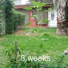 Picture 5 of 13