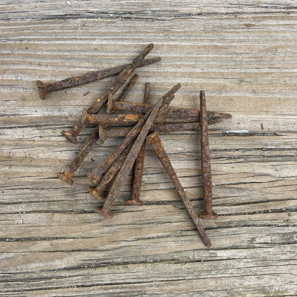 "Dos docenas (24) clavos de cabeza cuadrada de 2,5"" cortados a mano antiguos, oxidados, siglo XIX" Foto 3 de 4