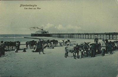 Blankenberghe Anes Pier Esel