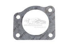 Dichtung Drosselklappe für Alu Einlasskrümmer für Fiat Ducato 5802102052
