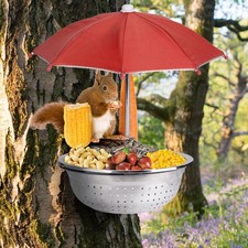 Removable Squirrel Feeders for Outside - Metal Squirrel Feeder for Feed Corn,...