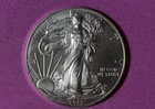 2013- American Silver Eagle #P34868