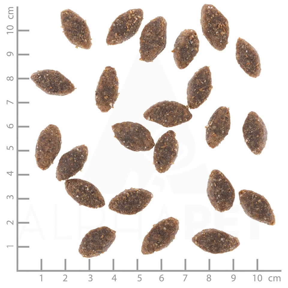 Wolfsblut Adult Alaska Salmon - Lachs und Kartoffeln Trockenfutter 12,5 kg - Bild 4 von 4