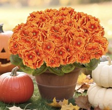 Artificial Fall Flowers Faux Geraniums Orange UV Resistant Outdoor 8 Bundles 