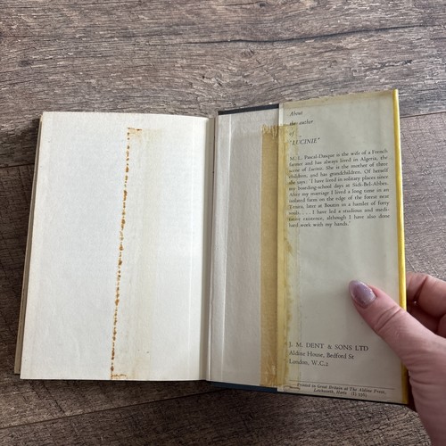 A Novel. Lucinie By M. L. Pascal Dasque 1961 Hardback Book FREE Tracked UK Del - Bild 11 von 14