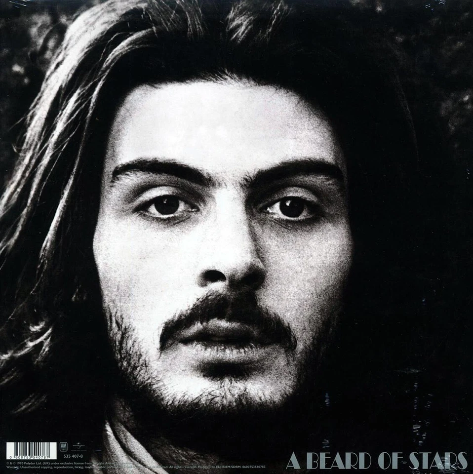 Tyrannosaurus Rex — A Beard Of Stars (nuevo LP de vinilo 180 g Foto 2 de 4