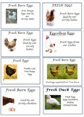8 Egg Box Labels Personalised Chicken Duck Hen Cartons Boxes Fresh ...
