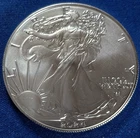 A 2024 $1 1-oz American Silver Eagle Star Privy Struck Through Error Reverse