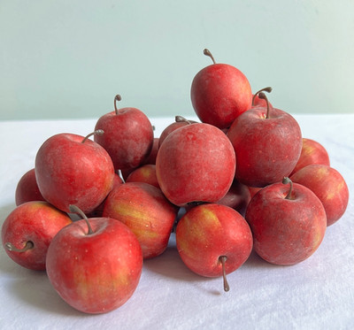 22+ Artificial Fruit Faux Small / Crab Apples Realistic Bowl Filler Fall 1.5''