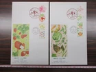 Japan Stamp First Day Cover Greetings Spring 2 Covers Large format 2017