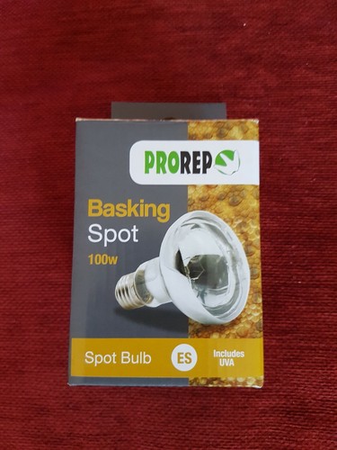 prorep 100w bulb