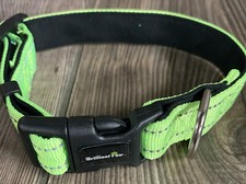 Brilliant Paw Reflective Dog Collar Padded with Soft Neoprene, Adjustable Nylon
