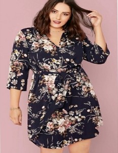 41 hawthorn cristen shirt dress