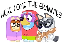 Direct To Film Transfer,  Ready to Press Transfer. Iron on Transfer Bluey