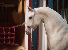 Jaapi BLACK/SILVER slip/halter - CM fit Breyer CLASSIC sized Arabian model horse