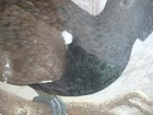 Bild 4 von 6