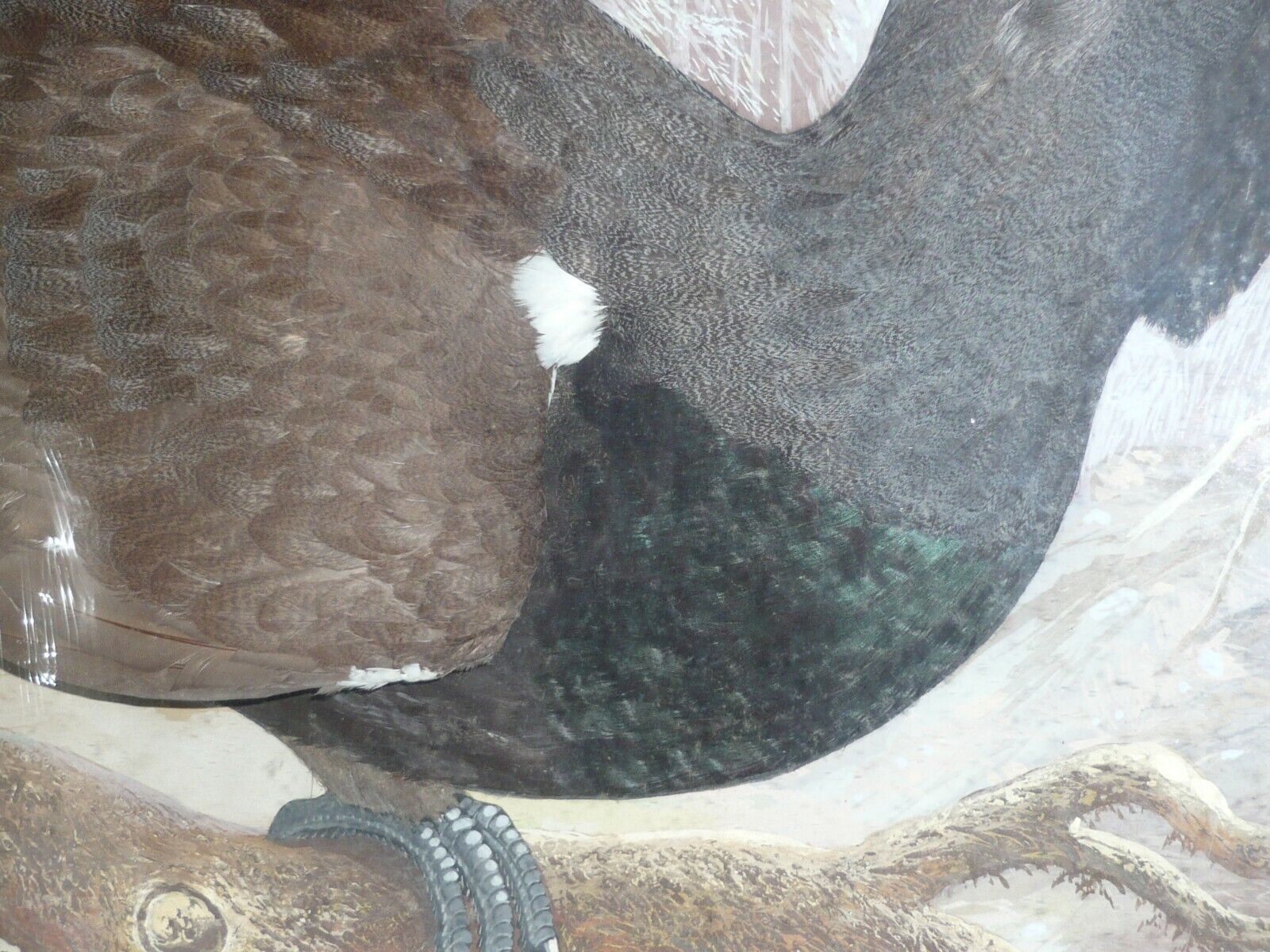 Bild 4 von 6
