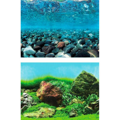 Aqua ein doppelseitiges Poster Gänseei Stein/Stein und Gras 48 cm hoch (1 m)