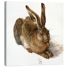 Leinwandbild Hase - Albrecht Dürer