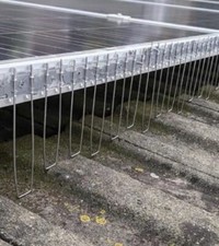 Solar Panel Bird Guard Spikes - Prevents Bird Access Under Panels