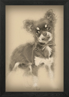 Chihuahua Blick auf Kamera Gerahmtes Wandbild Poster Leinwanddruck Bild