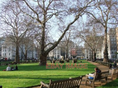 FOTO BERKELEY SQUARE MAYFAIR AUF DEM PLATZ WURDEN ZWEI SEINER BÄUME VON WESTMI entfernt